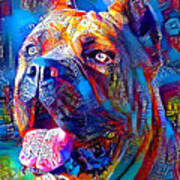 Cane Corso Head - Colorful Painting Art Print