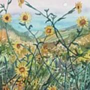 Canyon Sunflowers Art Print