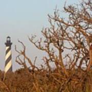 Cape Hatteras Lighthouse Through The Brush Art Print