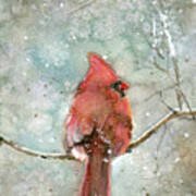 Cardinal In Winter Art Print