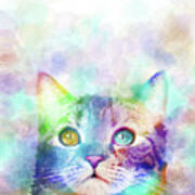 Cat 663 Multicolor Cat By Artist Lucie Dumas Art Print