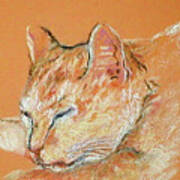 Catnap Art Print