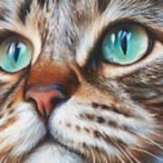 Cat's Close-up Art Print