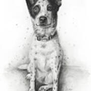 Cattle Dog Portrait Art Print