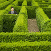 Caucasian Businessman Trapped In Hedge Maze Art Print