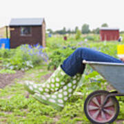Caucasian Gardener Laying In Wheelbarrow In Garden Art Print