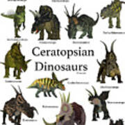 Ceratopsian Dinosaurs Art Print