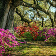 Charleston Sc Walking Into Spring Landscape Art Print