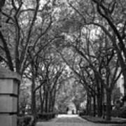 Charleston Waterfront Park Walkway, S.c, Black And White. Art Print