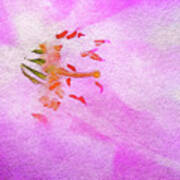 Cherry Blossom Festival Art Print