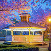 Cherry Blossom Gazebo Art Print