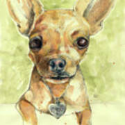 Chihuahua Love Art Print