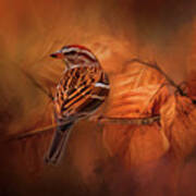 Chipping Sparrow Perching On Orange And Brown Fall Leaves Branch Art Print