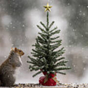 Christmas Squirrel Find The Magic Art Print