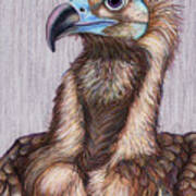 Cinereous Vulture Art Print