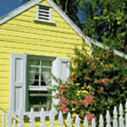 Close-up Of A Yellow House With White Shutters And White Picket Fence, Dunmore Town, Harbor Island, Bahamas Art Print