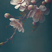 Closeup Of Spring Pastel Blooming Flower In Orchard. Macro Cherr Art Print