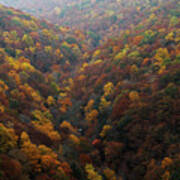 Cloudland Canyon - Georgia Art Print