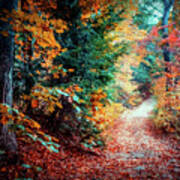 Colorful Autumn Path In The Woods Art Print