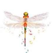 Colorful Dragonfly Art Print