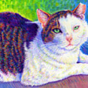 Colorful Pet Portrait - Mc The Cat Art Print