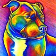 Colorful Rainbow Staffordshire Bull Terrier Dog Art Print
