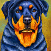 Colorful Rottweiler Dog Art Print