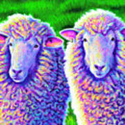 Colorful Sheep Portrait - Charlie And Curtis Art Print
