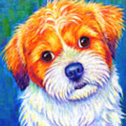 Colorful Shih Tzu Dog Art Print