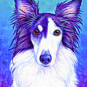 Colorful Silken Windhound Art Print
