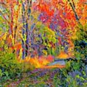 Colors Of Autumn Art Print