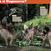 Como Era El Stegosaurus Art Print