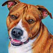 Cooper The Pitbull Terrier Art Print