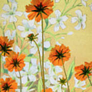 Coreopsis With French Gypsophile Blanc Art Print