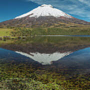 Cotopaxi And His Reflection Art Print