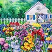 Cottage Irises Art Print
