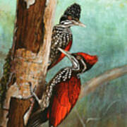 Crimson-backed Woodpeckers Art Print