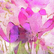 Crocus So Pink Art Print