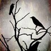Crow Birds On Tree Bird 92 Art Print