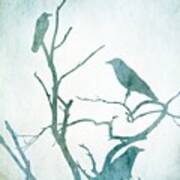 Crow Birds On Tree Bird 93 Art Print