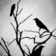 Crow Birds On Trees Bird 89 Art Print