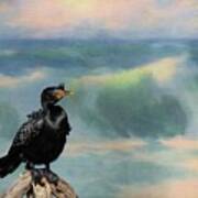 Crowned Cormorant Art Print