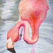 Curious Flamingo Art Print