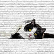 Cute And Charming, Black And White Cat - Brick Block Background Art Print