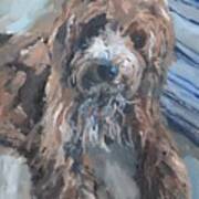 Cute Cockapoo Painting Art Print