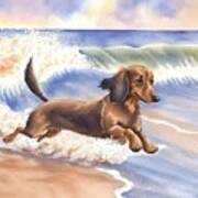 Dachshund Hund Dog At Beach Art Print