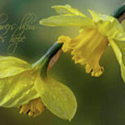 Daffodil Hope Art Print