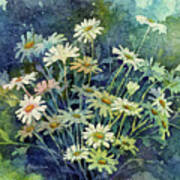 Daisy Bouquet - White Daisies Art Print