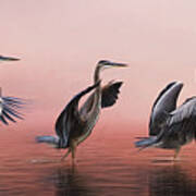 Dance Of The Blue Heron Art Print