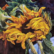 Dancing Sunflowers Art Print
